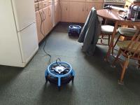 Steaming Sam Carpet Cleaning image 29